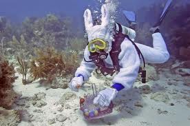 Underwater Easter Egg Hunt with Spencer Slate in Florida Keys April 20