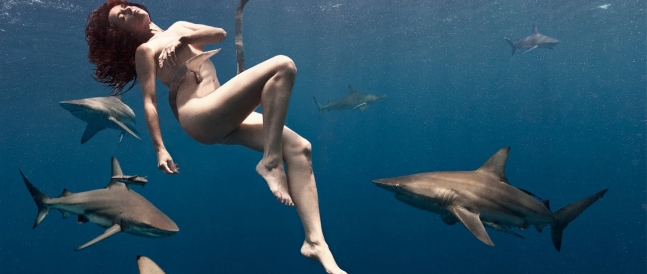 Shark Warrior Lesley Rochat dives naked with sharks AGAIN to make a point